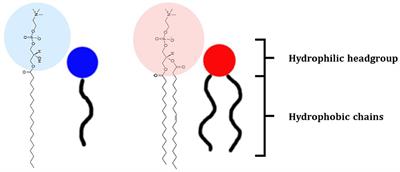 Understanding the Nano-bio Interfaces: Lipid-Coatings for <mark class="highlighted">Inorganic Nanoparticles</mark> as Promising Strategy for Biomedical Applications